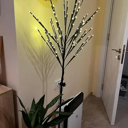 Apartment Lovely By The Sea